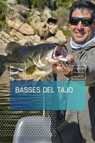 Basses del Tajo