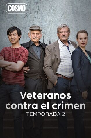 Veteranos contra el crimen. T(T2). Veteranos contra el crimen (T2)