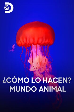 ¿Cómo lo hacen? Mundo animal. ¿Cómo lo hacen? Mundo animal 