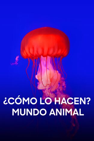 ¿Cómo lo hacen? Mundo animal. ¿Cómo lo hacen? Mundo...: Cachorros inteligentes y baños de peces