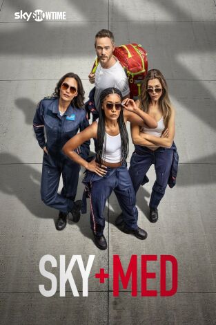 SkyMed. T(T4). SkyMed (T4)