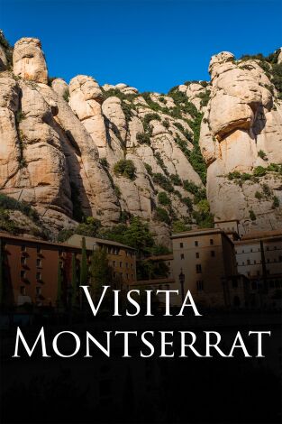 Visita Papa a España. T(T1). Visita Papa a España (T1): Vigília Montjuïc