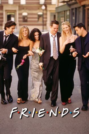 Friends. T(T4). Friends (T4): Ep.1 El gato