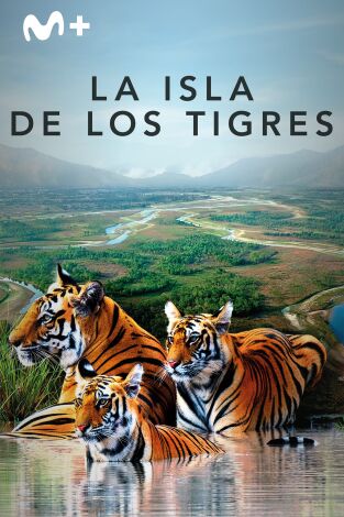 La isla de los tigres