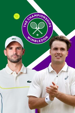 Masculino. Masculino: Dimitrov - Fery