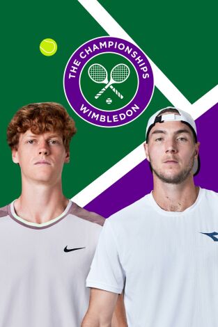 Masculino. Masculino: Sinner - Struff