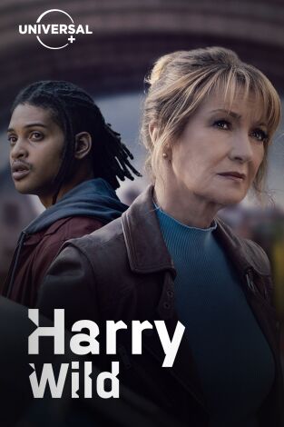 Harry Wild. T(T4). Harry Wild (T4)