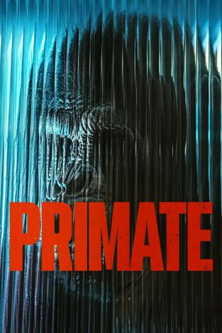 Primate