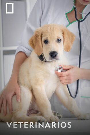 Veterinarios