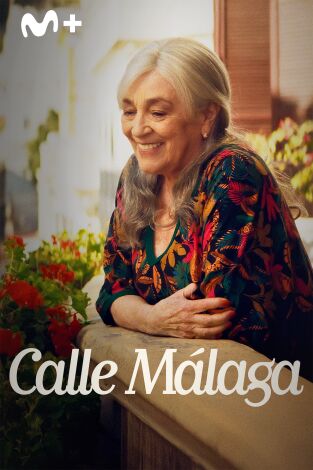 Calle Málaga