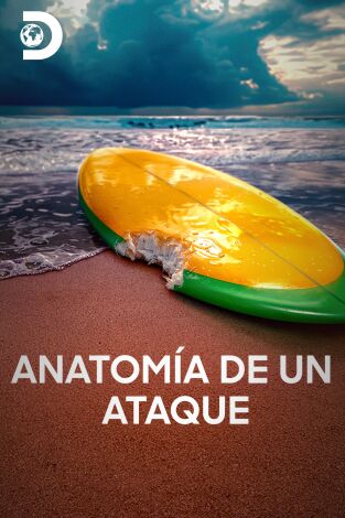 Anatomía de un ataque