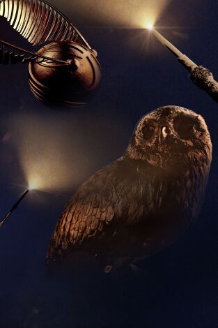 Harry Potter: el pódcast oficial de la película. T(T1). Harry Potter: el... (T1): "Open at the Close" | Harry Potter and the Deathly Hallows Part 1, Pt. 1 with Amy Nicholson