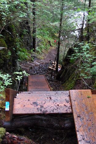 Lo que no debe ser. Lo que no debe ser: Salida de emergencia para abastecerse