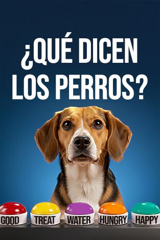 ¿Qué dicen los perros?