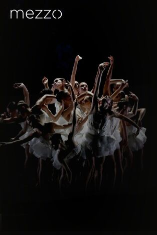 Preljocaj: El lago de los cisnes - Chaillot, Théâtre national de la danse