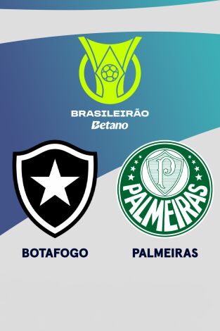 Jornada 26. Jornada 26: Botafogo - Palmeiras