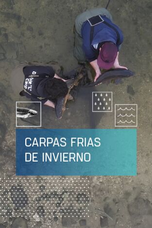 Carpas frías de invierno