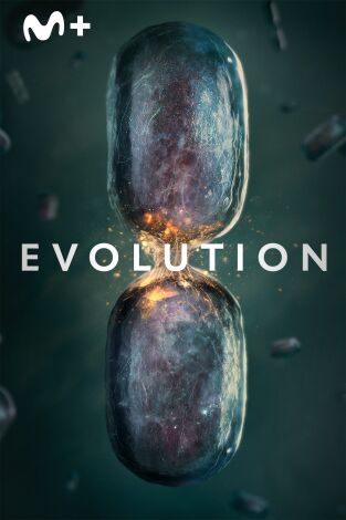 Evolution