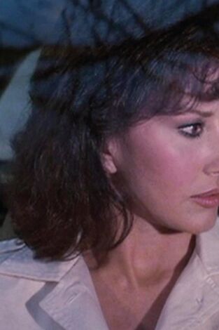 Knight Rider. T(T4). Knight Rider (T4): Ep.19 En busca de la libertad