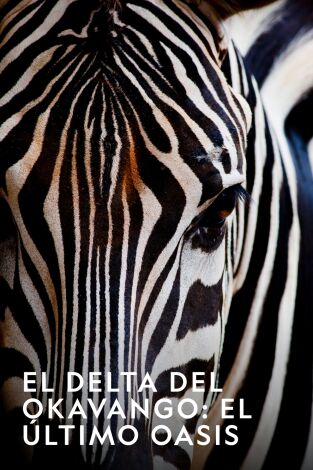 El Delta Del Okavango: El ÚLtimo Oasis