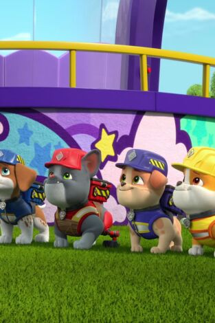 Rubble & Crew. T(T4). Rubble & Crew (T4): Ep.8 El equipo organiza una carrera de miniautos; El equipo crea un centro de entrenamiento para aves