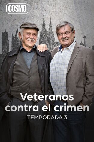 Veteranos contra el crimen. T(T3). Veteranos contra el crimen (T3)