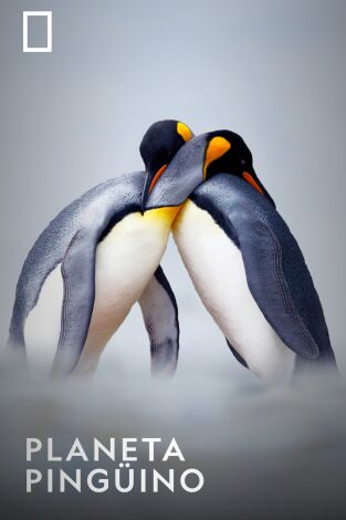 Planeta pingüino