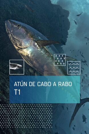 El atún de cabo a rabo