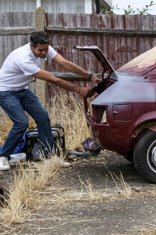 Joyas sobre ruedas. T(T26). Joyas sobre ruedas (T26): Austin Allegro Vanden Plas
