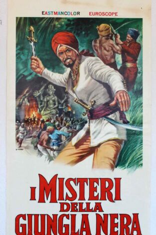 El misterio de la jungla negra