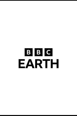 Fauna letal. Fauna letal 