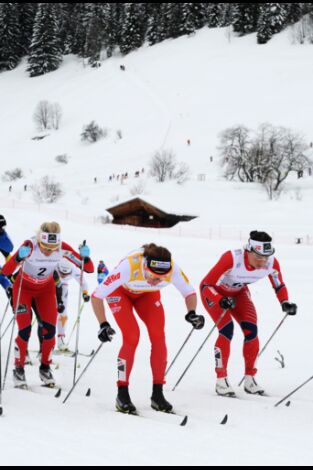 Copa del mundo de esquí de fondo