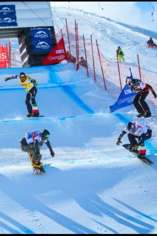 Copa del mundo de snowboard
