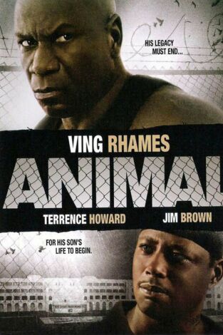 Animal