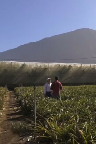 Andaluces por España. T(T4). Andaluces por España (T4): Fuerteventura