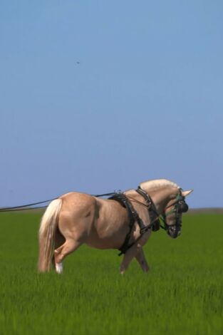 Al sur del tiempo. Al sur del tiempo: Sevilla