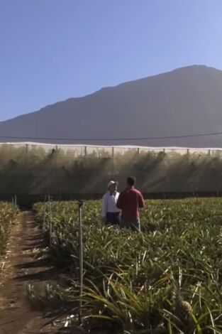 Andaluces por España. T(T4). Andaluces por España (T4): El Hierro