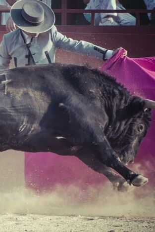 Toros. T(T2026). Toros (T2026): Desde Motril