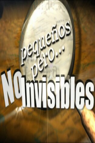 Pequeños, pero no invisibles. Pequeños, pero no...: Tronchón y Aladrén