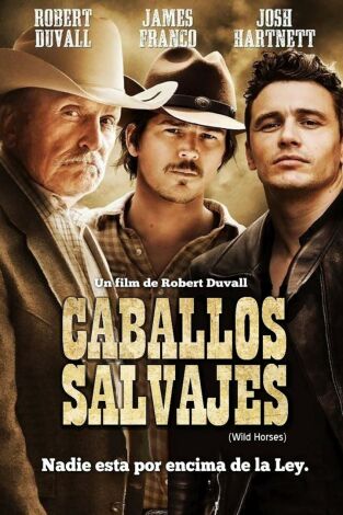 Caballos salvajes