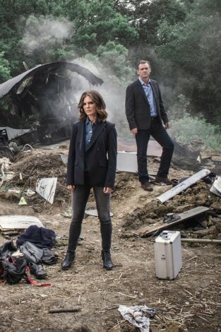 Silent Witness (Testigo mudo). T(T23). Silent Witness... (T23): Ep.4 Cerca de casa (2ª parte)