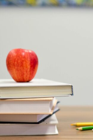 Cazadores de setas. T(T1). Cazadores de setas (T1): Longás