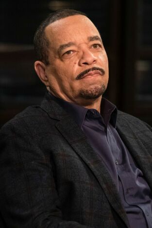 Ley y orden: unidad de víctimas especiales. T(T22). Ley y orden: unidad de víctimas especiales (T22)