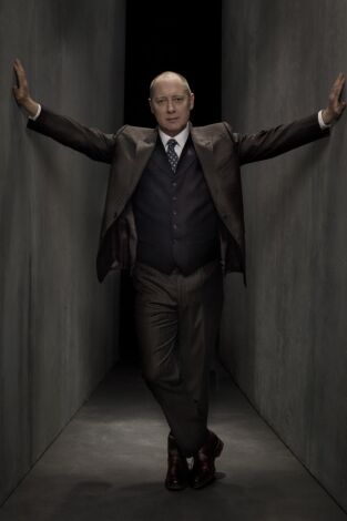 The Blacklist. T(T2). The Blacklist (T2): Ep.7 El cimitarra (Nº 22)
