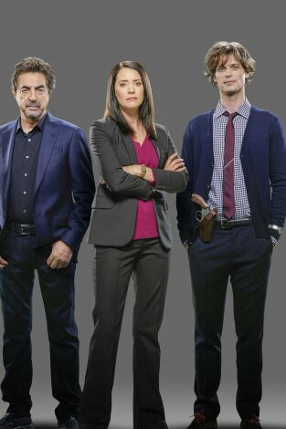 Mentes criminales. T(T12). Mentes criminales (T12): Ep.12 Un buen marido