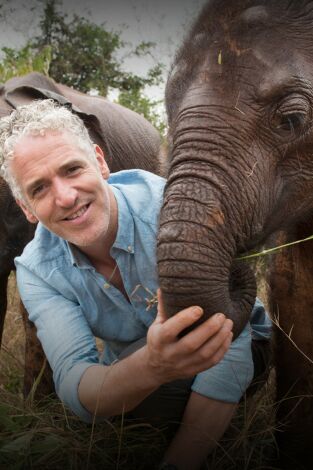 La familia elefante y yo