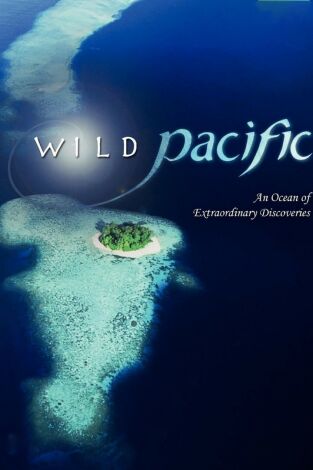 Pacífico Sur. Pacífico Sur: Un océano infinito