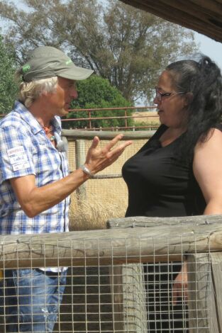 Volando voy. Volando voy: Doñana