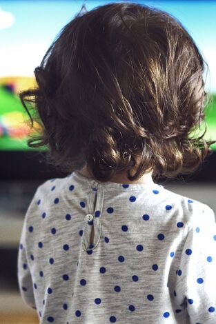 El xai Shaun: El vol abans de Nadal