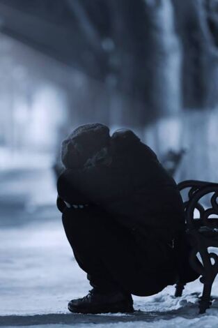 Jenny. T(T2). Jenny (T2): Ep.20 El nostre gran viatge